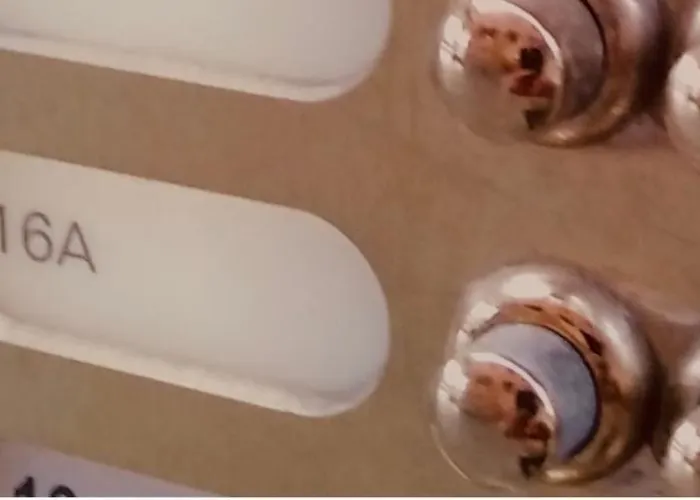 Centro Acquario San Giorgio Janov